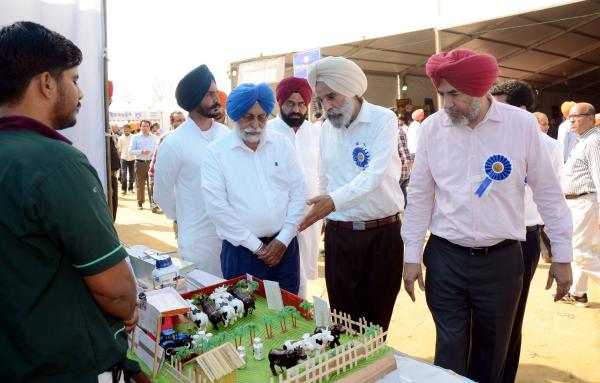 Dr. S.S. Gosal, VC, PAU visiting the Stalls in Pashu Palan Mela on Dated 24-03-2023